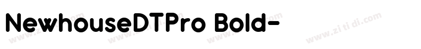 NewhouseDTPro Bold字体转换